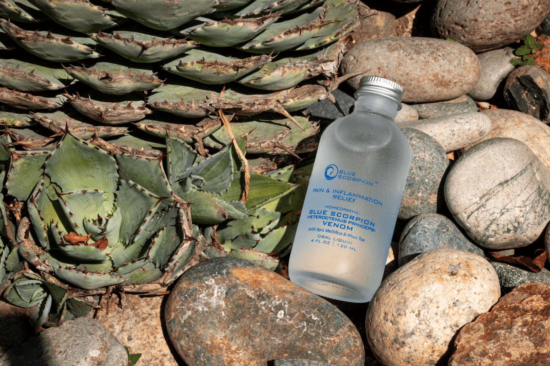 Blue Scorpion Pain Relief Hero